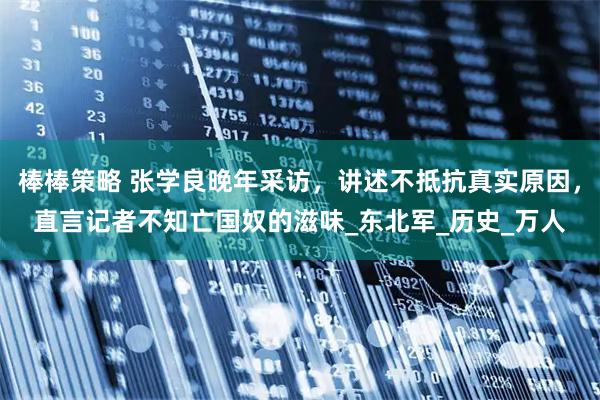 棒棒策略 张学良晚年采访，讲述不抵抗真实原因，直言记者不知亡国奴的滋味_东北军_历史_万人