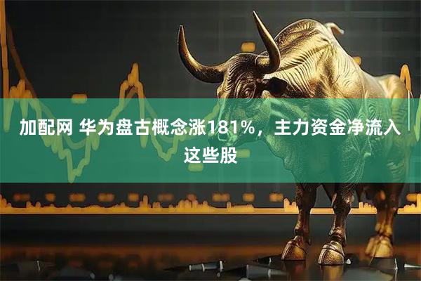 加配网 华为盘古概念涨181%，主力资金净流入这些股