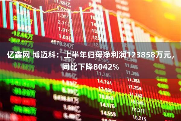 亿鑫网 博迈科：上半年归母净利润123858万元，同比下降8042%