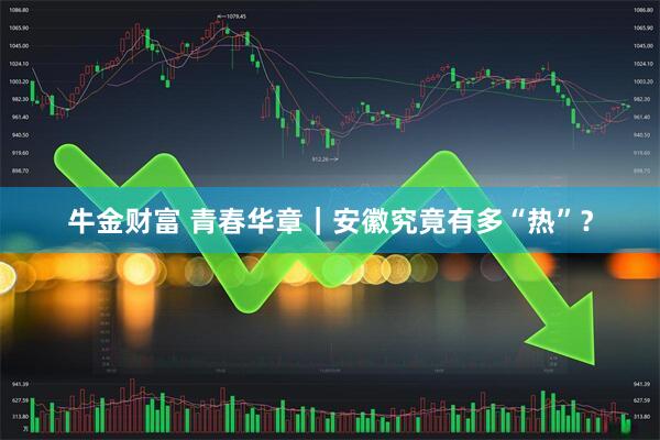 牛金财富 青春华章｜安徽究竟有多“热”？